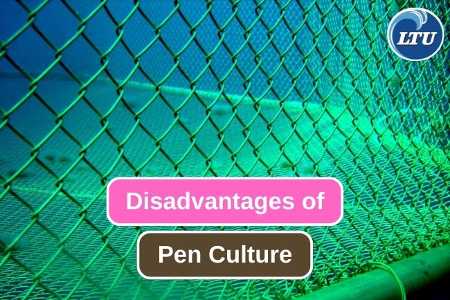 9 Reason to Reconsider Using Pen Culture as Fish Farming